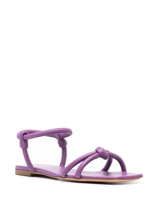 G3232405CUONAPFREE Fuchsia