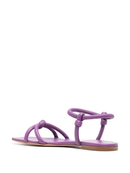 G3232405CUONAPFREE Fuchsia