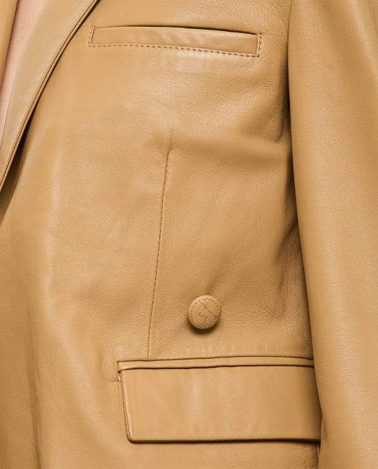 23527CHICKPEA Brown