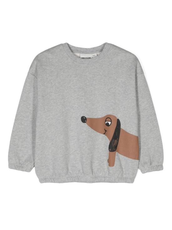 2472015994 DOG SPGREY