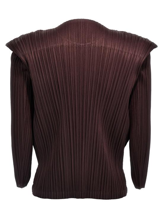 PP48JK13149 Brown
