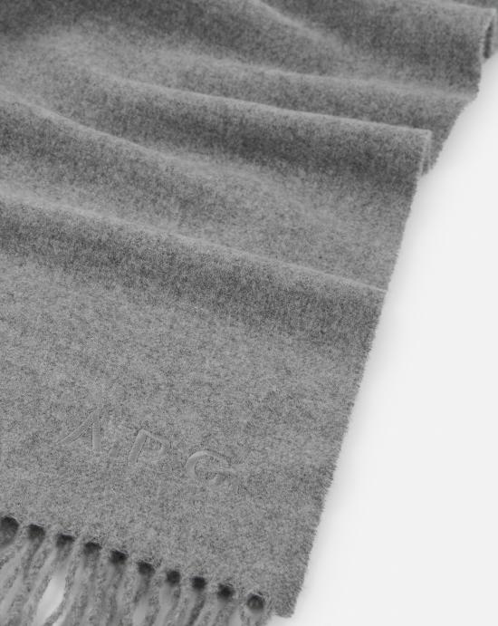 WOAFEM15170 PLA GRIS CHINE