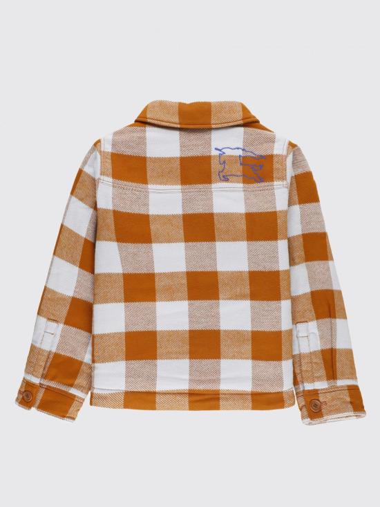 8088481 Orange