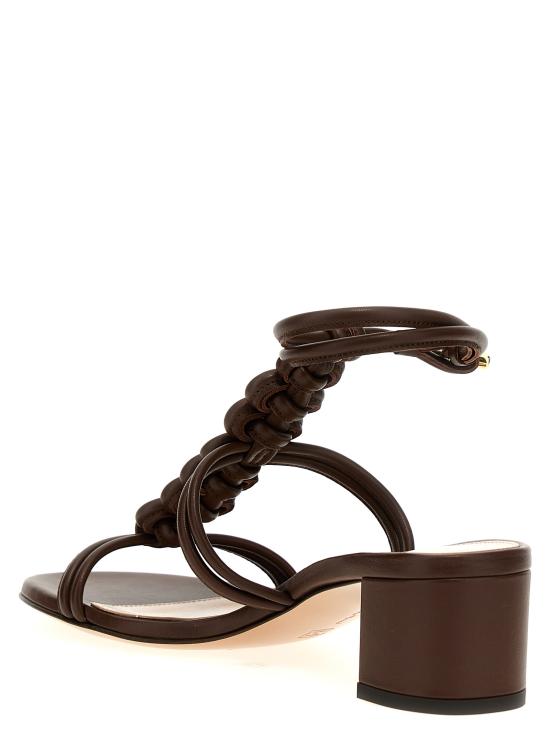 G3248145RICNAPBROW Brown