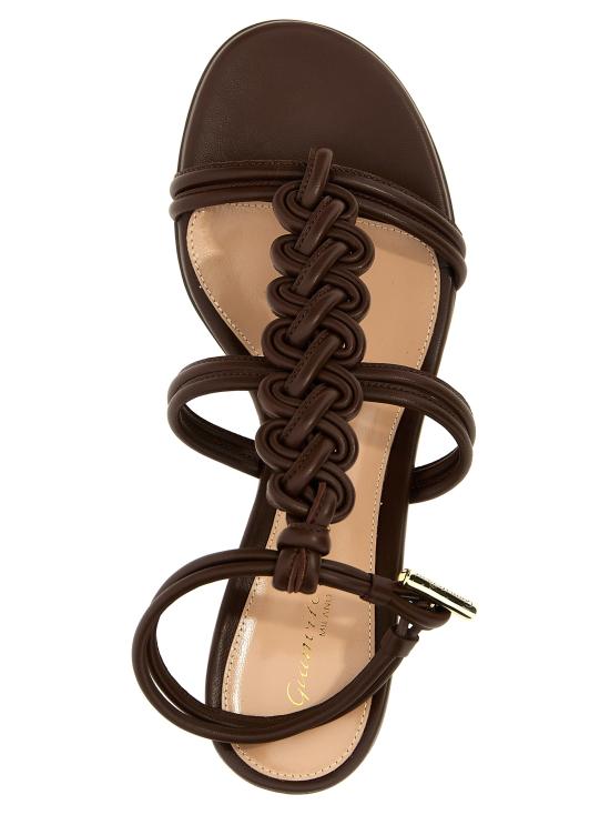 G3248145RICNAPBROW Brown