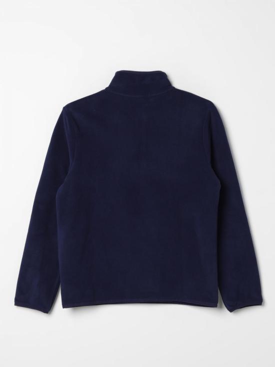 323953037 001 Blue