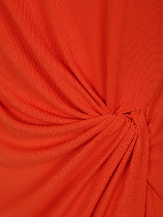 250957709 002 ORANGE LILY