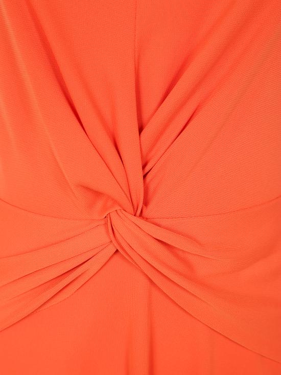 250872090 012 ORANGE LILY