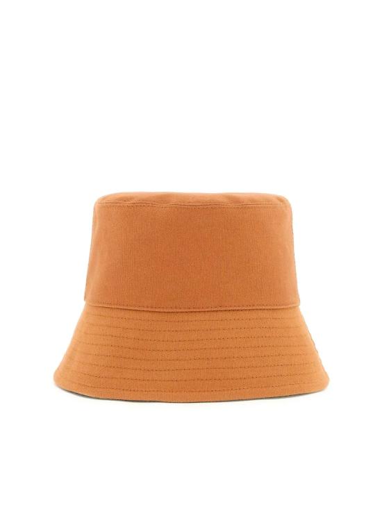 900453WP01132312 BROWN