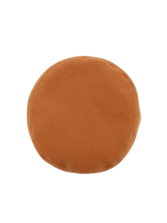 900453WP01132312 BROWN