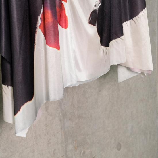 RIFSS25S003FL