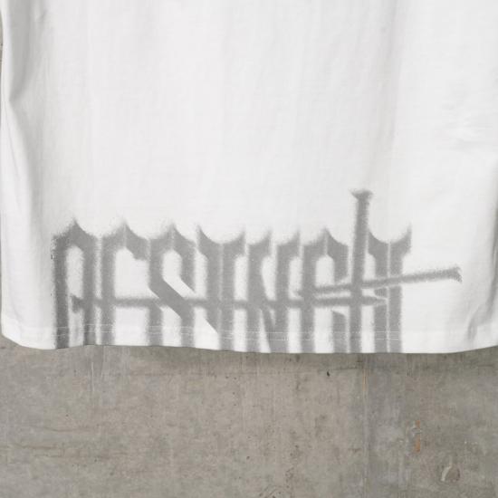 TS01WH
