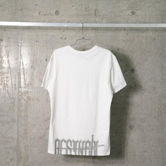 TS01WH