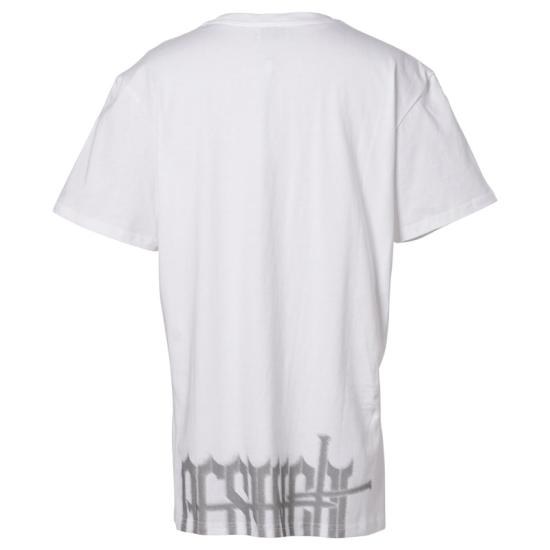 TS01WH