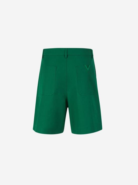 4V0RDDV19UA PVFBASIL GREEN