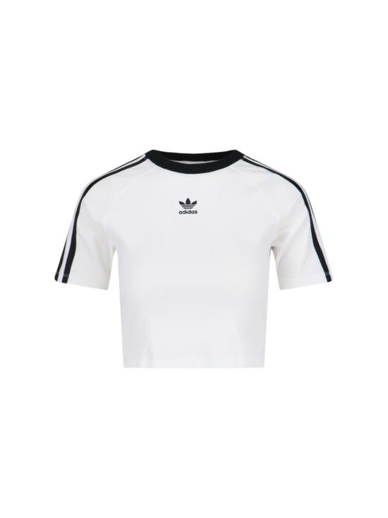 IP0662