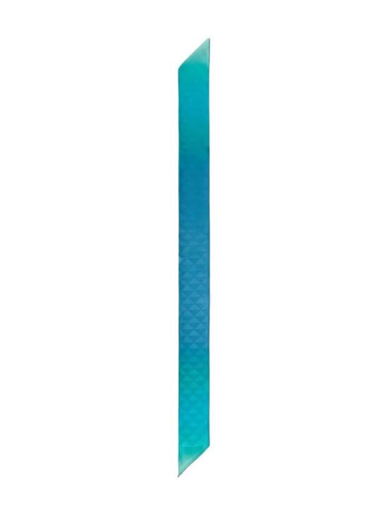 1FF0082C8S