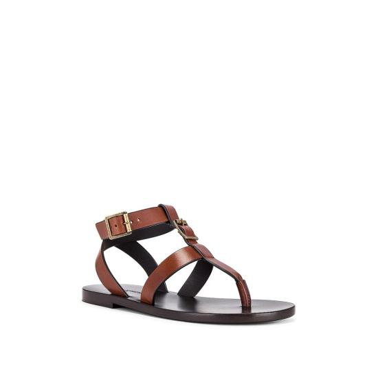 776396DWE00 6036 Brown