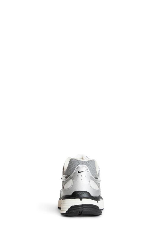 CN0149001 Silver
