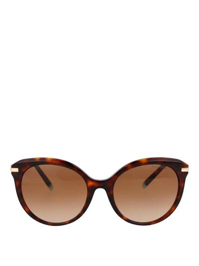 [해외] 티파니앤코 선글라스 0TF4189B80023B Brown