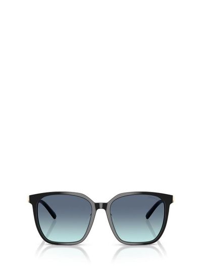 [해외] 26FW 티파니앤코 선글라스 TF4244D 80019S BLACK